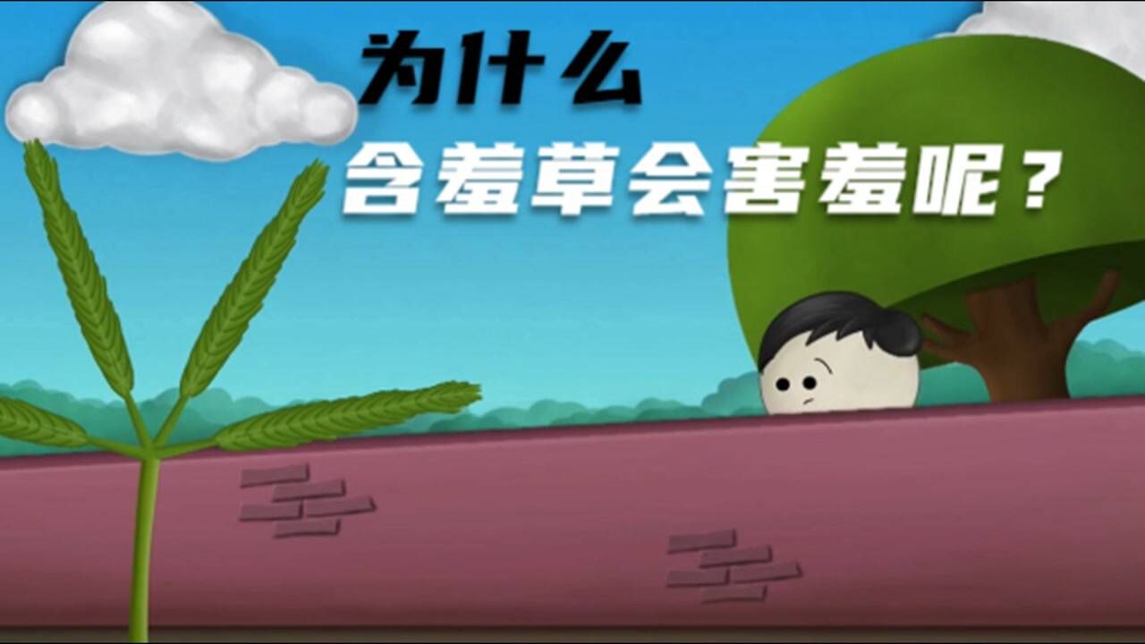 科普小知识：为什么含羞草会害羞呢？_高清