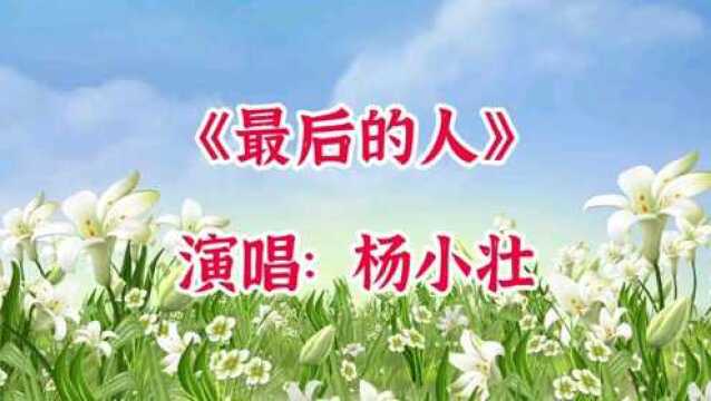 一首伤感歌曲《最后的人》献上