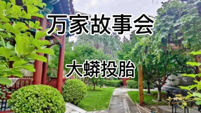 万家故事会《大蟒投胎》