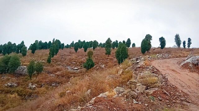 自驾游辉县张北草原7