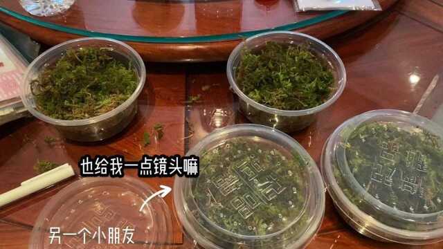 #姥爷树蛙旅行青蛙正式上线蛙蛙:今天我就要远航