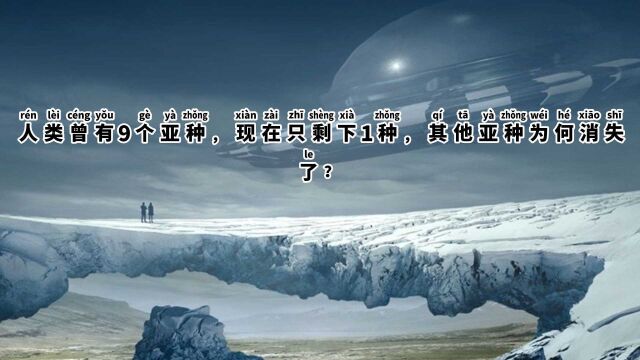 人类曾有9个亚种,现在只剩下1种,其他亚种为何消失了?