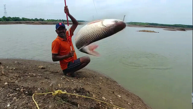 大叔水库边钓鱼,连抛几竿,大鱼频频上钩,这样钓鱼太有劲了!