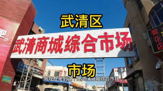 天津市武清区第《6》个视频,综合市场