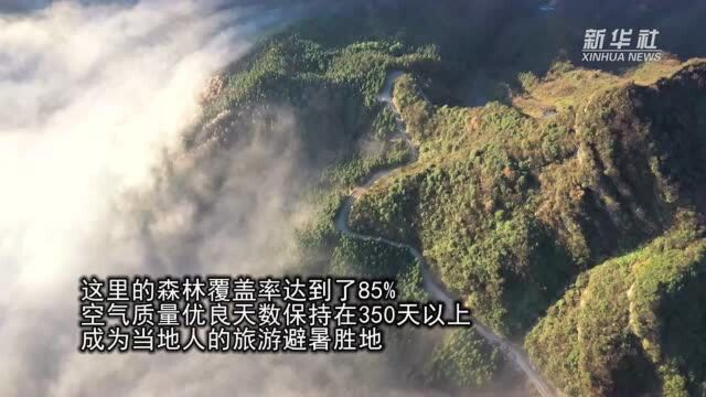 重庆丰都:云海日出 多彩初冬