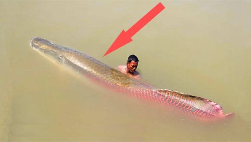 纪录片：亚马逊河发现巨型妖物？惨遭凶残食人鱼猛烈围攻！