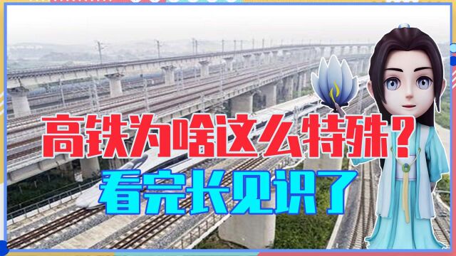 宁愿花钱建高架桥,也不地上跑,高铁为啥这么特殊?看完长见识了