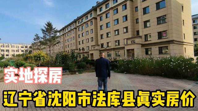 辽宁省法库县真实房价,实地探房以买房者身份现场谈价