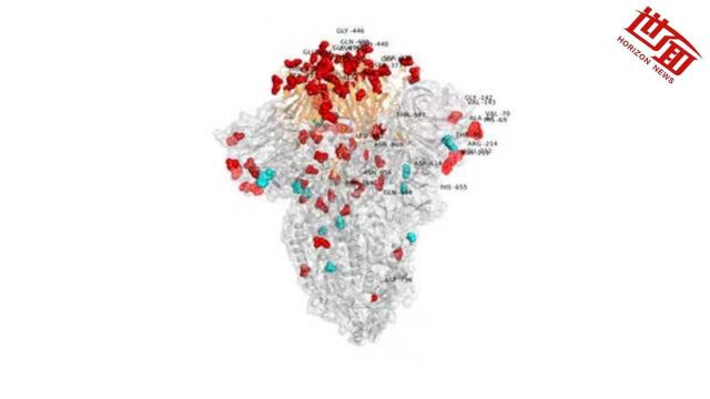 全球首张奥密克戎毒株图片曝光:刺突蛋白突变密集多样 与德尔塔对比明显