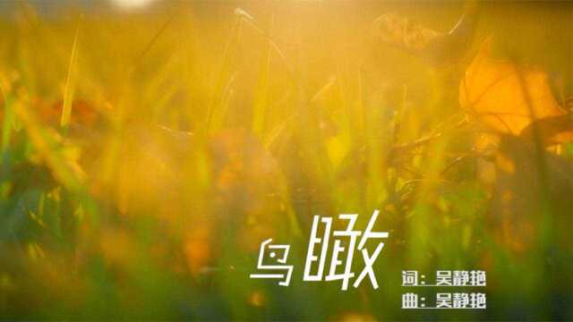 鸟瞰音乐组合演唱歌曲《鸟瞰》MV