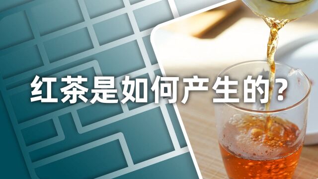 小喜年:世界红茶是如何产生的?茶学硕士带你认识世界红茶的“鼻祖”