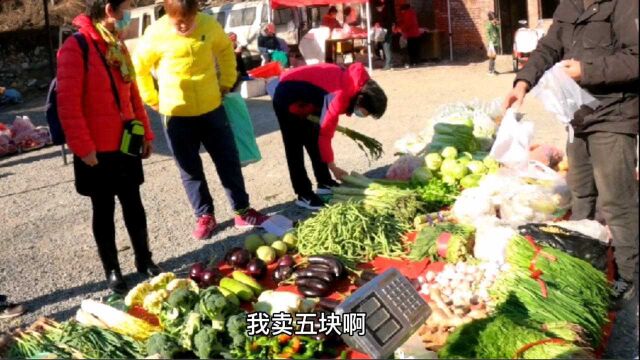 最近大集开了青菜降价了,看北京这大集市场,青菜卖多少钱一斤?