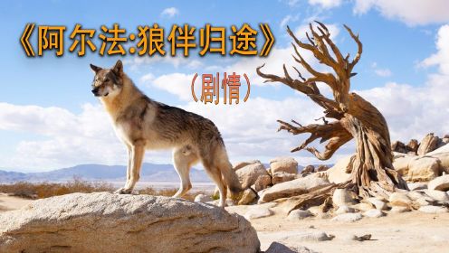 《阿尔法：狼伴归途》：原来狗狗是这么来的，故事发生于两万年前。