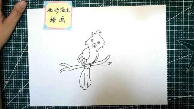 画1幅鹦鹉绘画