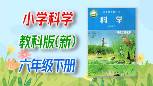 第2单元《生物的多样性》第5课