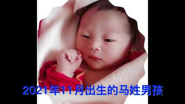 2021年11月出生的马姓男孩,“庆”字辈,起个什么名字好听?