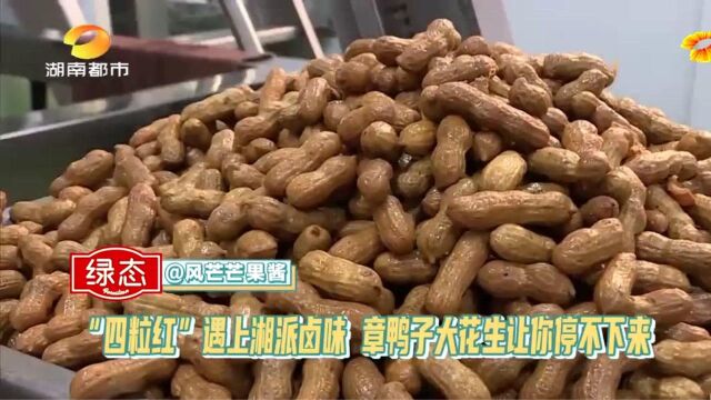 “四粒红”遇上湘派卤味 章鸭子大花生让你停不下来!