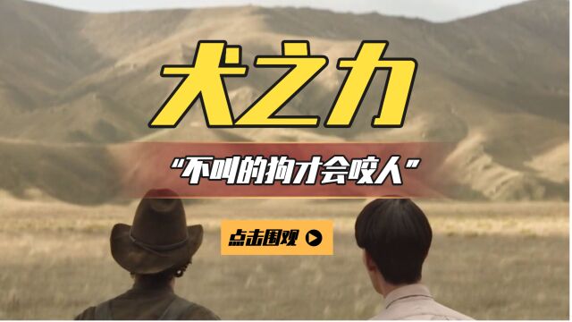 本尼Netflix冲奥西部片《犬之力》叔叔爱上侄子!