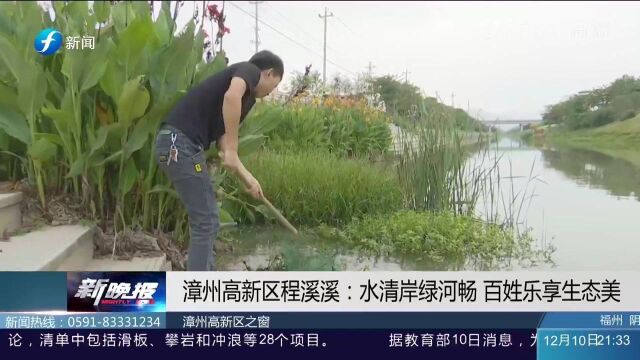 漳州高新区环艺人员修剪绿植,水清岸绿河畅,感受生态美