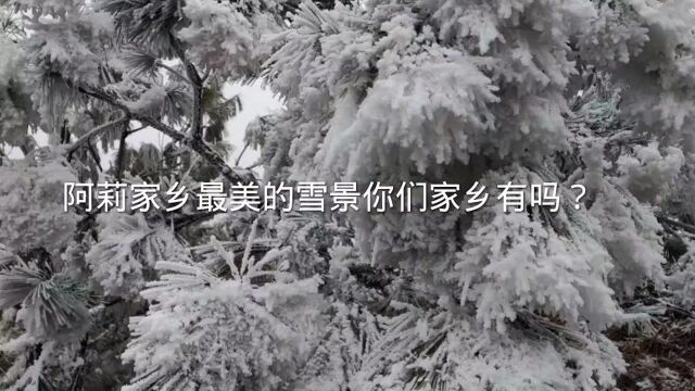 冬天最美的雪景