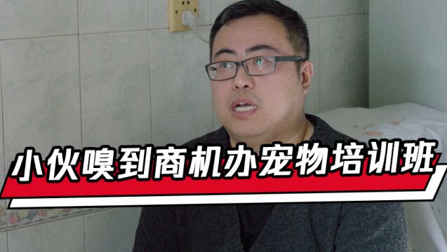 小伙嗅到商机办宠物培训班:从白手起家到一个月几十万收入