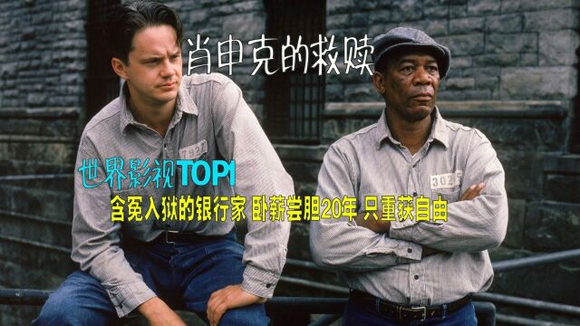 上映近30年零差评的电影,含冤入狱的银行家卧薪尝胆20年,只为重获自由