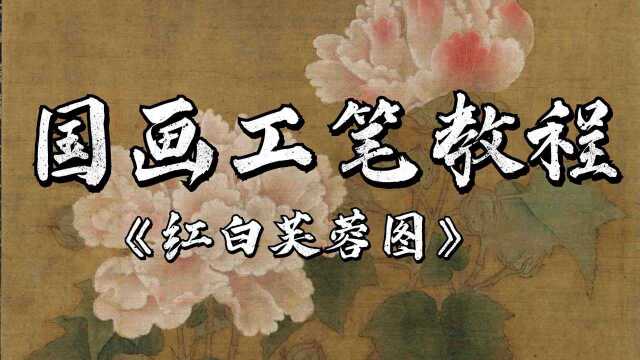 国画工笔教程红白芙蓉图2