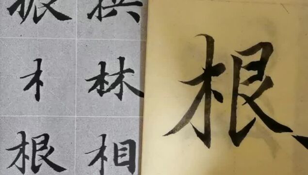 毛笔字天天练习根字