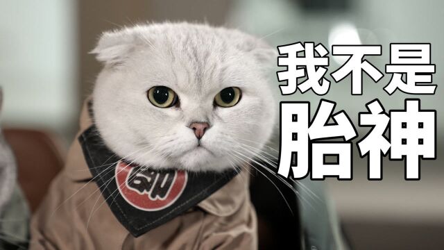 猪柳蛋:你好,我是睡务局局长,需要在你家旅馆试睡一场