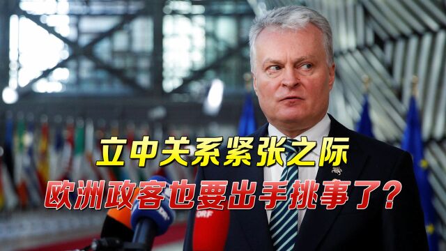 立中关系陷僵局,立陶宛企业扛不住了,政府砸钱救急被指杯水车薪