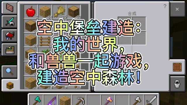 空中堡垒建造:我的世界,和兽兽一起游戏,建造空中造林!