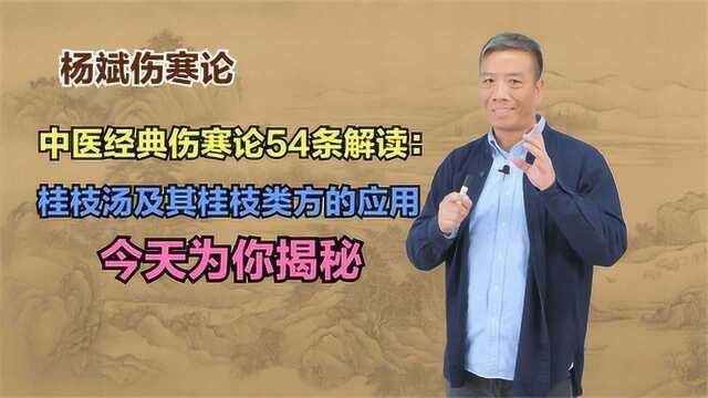 中医经典伤寒论54条解读:桂枝汤及其桂枝类方的应用