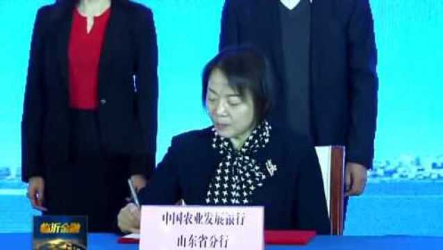 农发行临沂市分行:擦亮立行为民实干底色 服务乡村振兴全面起势