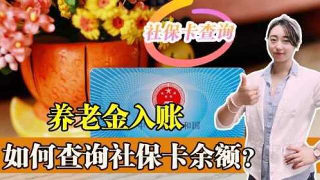 春节前养老金入账了,如何查询社保卡余额?有5种方式你可以尝试