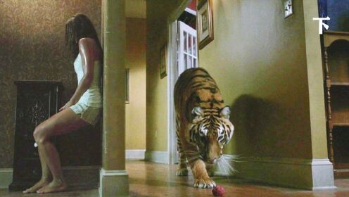 女孩与老虎搏斗，竟是继父的阴谋，结果自找苦吃