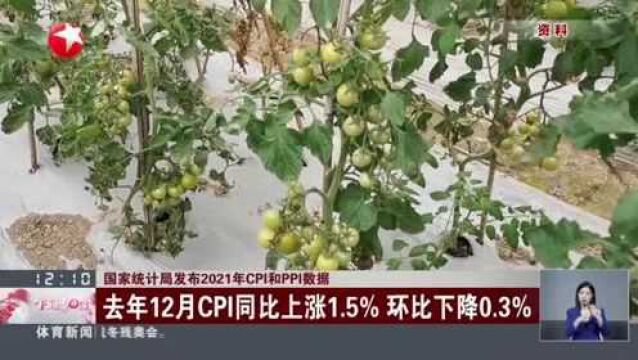 国家统计局发布2021年CPI和PPI数据