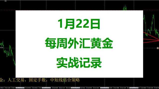 01.22 每周外汇黄金自动跟单实战记录