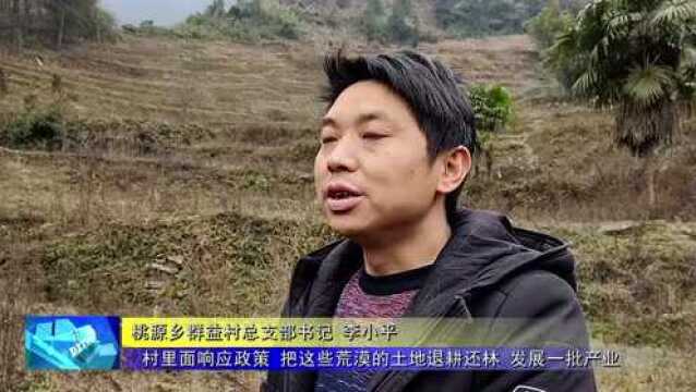 【新春走基层】群益村:“退耕还林”赋能乡村振兴