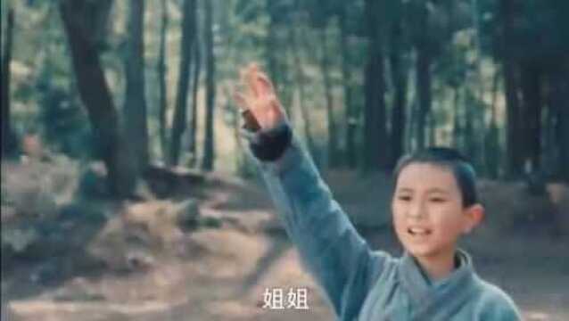 中国武侠艺术片