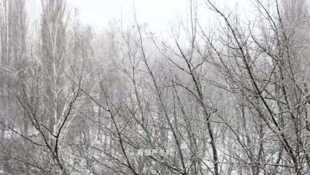 大寒携雨水大风而至!未来几天平潭天气……