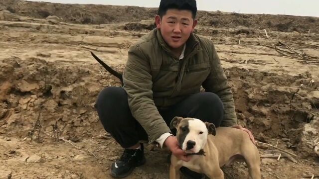 大兵带俩“杀人犬”野外活动,谁知二松却想扒皮吃狗肉,结局亮了