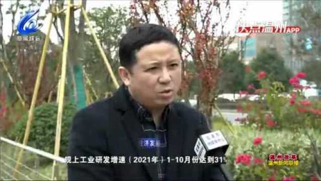 龙港市推动科技创新 为印刷产业提供内生动力