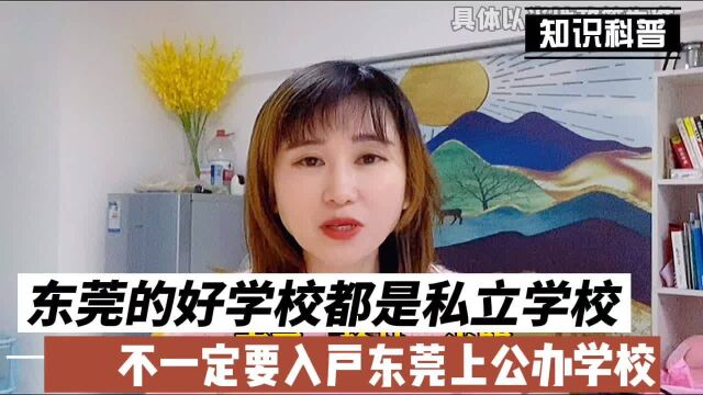 东莞好的学校都是私立学校, 不一定要入户东莞上公办学校