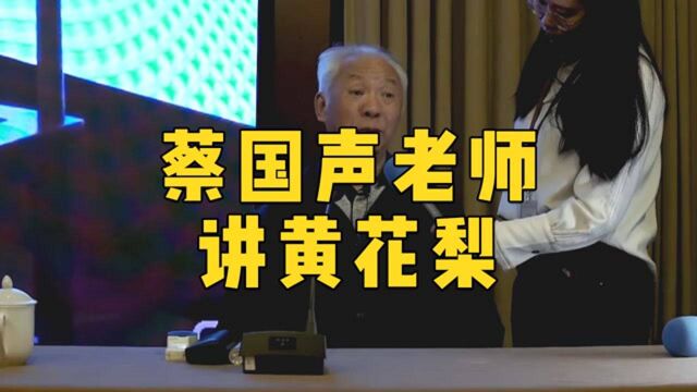 听蔡国声老师分析海南黄花梨官帽椅