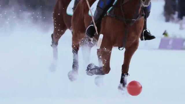 2022年1月2830日,雪地马球世界杯圣莫里茨杯