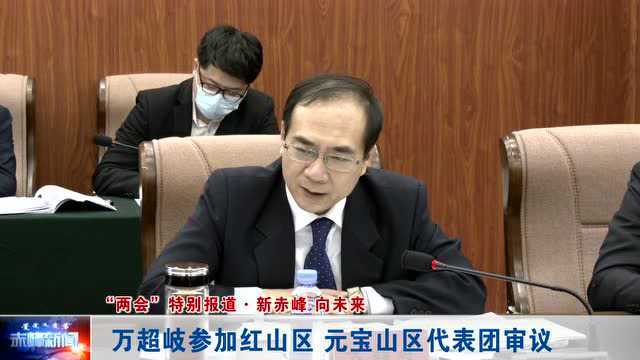 ►万超岐参加红山区 元宝山区代表团审议