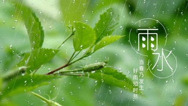 雨水节气怎样最养生?教你几招,做对了开春不生病!