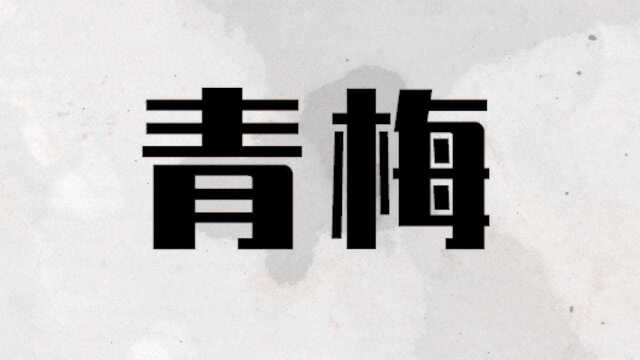 良人影业练习剧《青梅》韩桢、郭沐芸、鲁修辰、刘梓涵、潘沐宸、裴易樊、杜晨雪、陈一诺、沈宥城