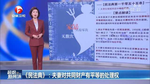 《民法典》:夫妻对共同财产有平等的处理权,禁止家暴