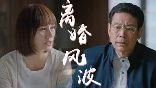 《相逢时节》郝青林锒铛入狱，宁宥无奈说出真相！